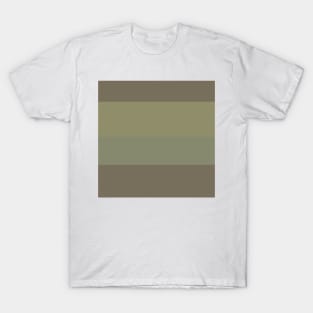 An outstanding bind of Quincy, Pastel Brown, Camouflage Green, Sage and Brown Grey stripes. T-Shirt